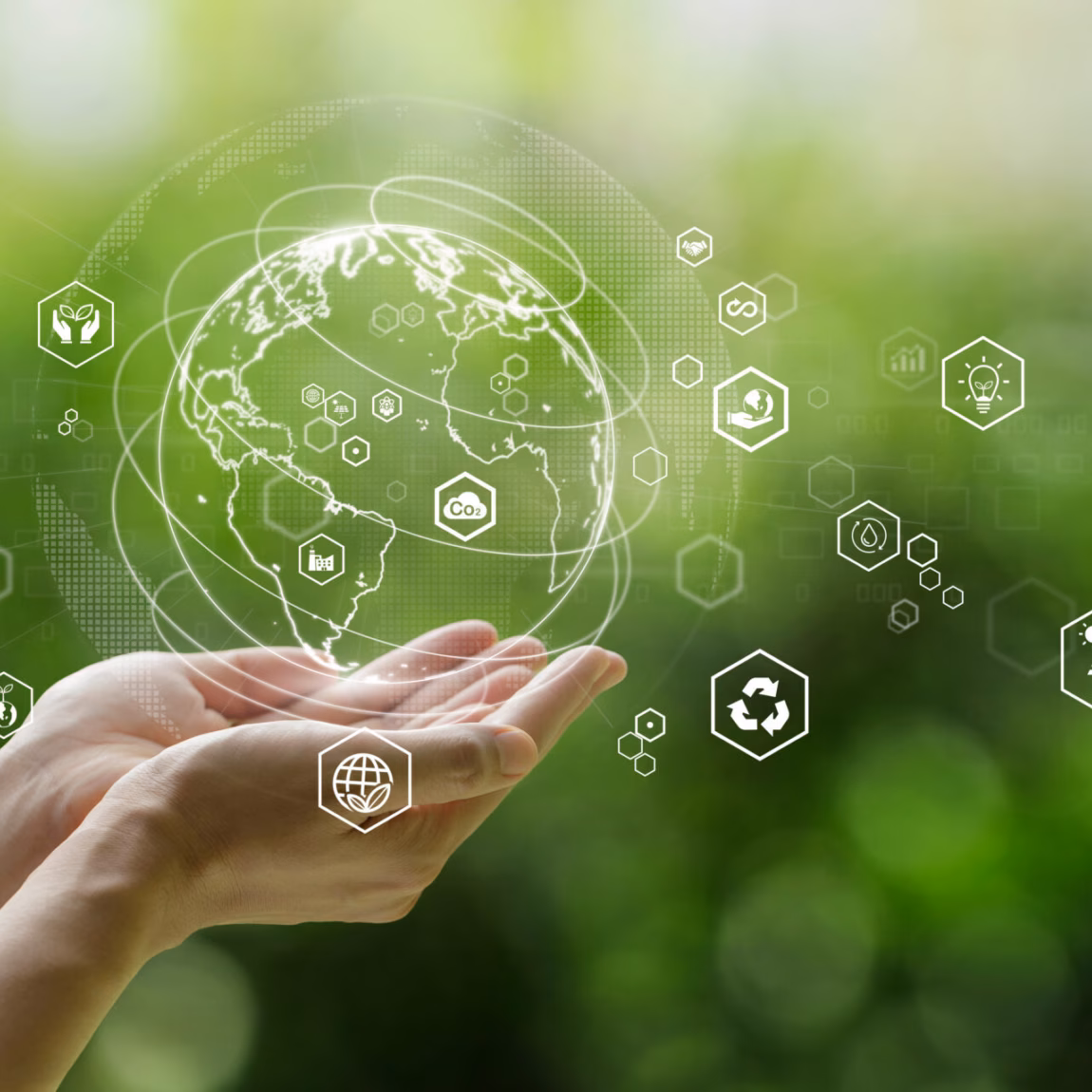 Visual representation of sustainability, the circular economy, and the responsible use of natural resources.
