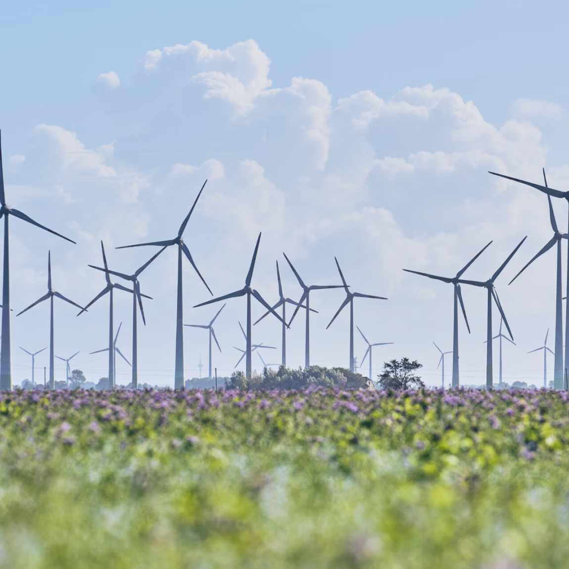 A wind farm with multiple wind turbines generates renewable energy in an open landscape.