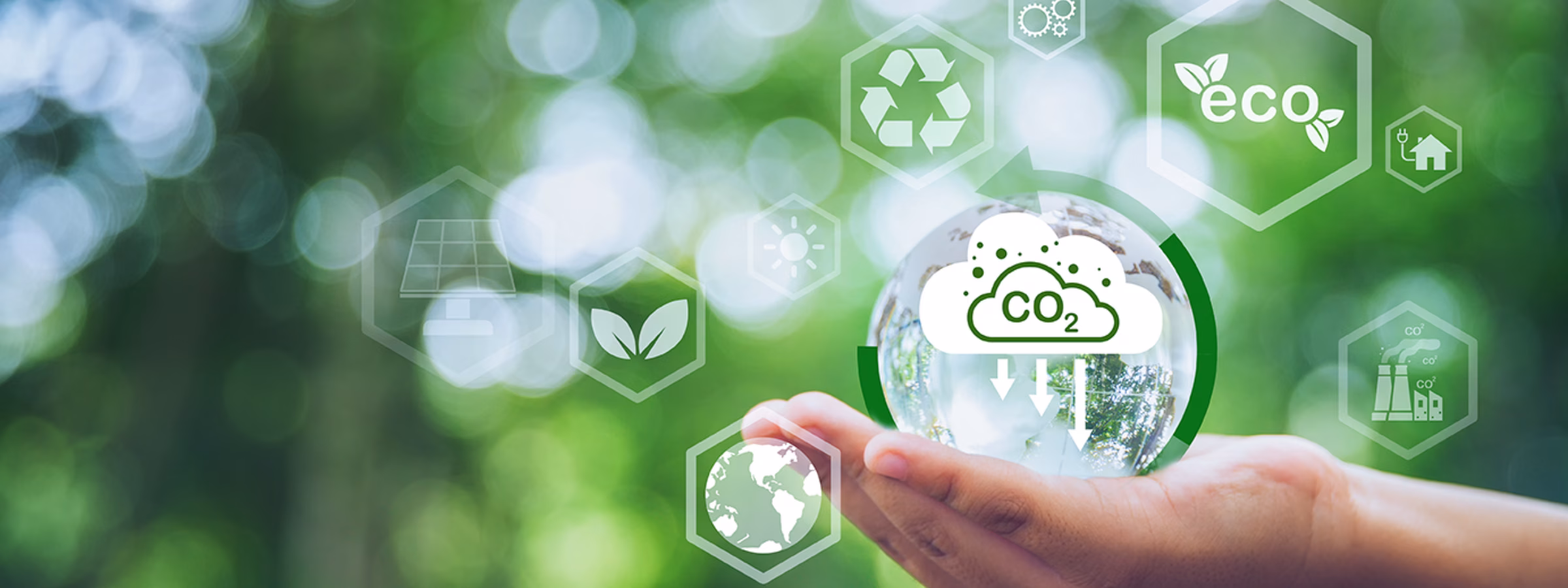 Visual representation of sustainability, CO₂ reduction, and the circular economy using environmental symbols.