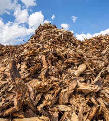 A large quantity of wood chips is stored for processing, recycling, or energy production.