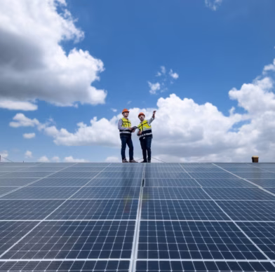 Two technicians are checking solar panels as part of inspection and maintenance work at a solar farm.
