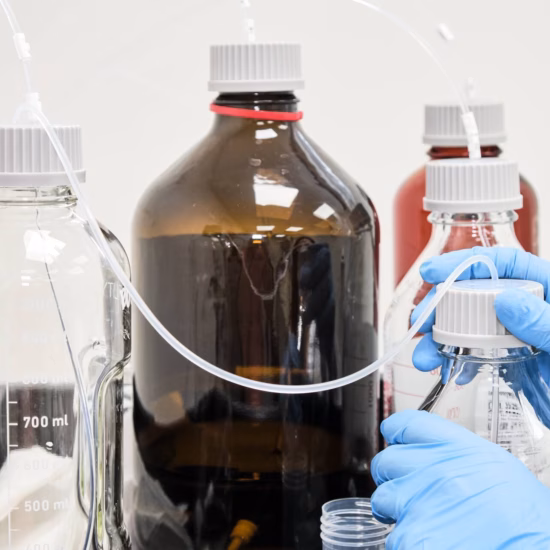 Watermonsters worden verwerkt en voorbereid voor verdere analyse in het laboratorium.