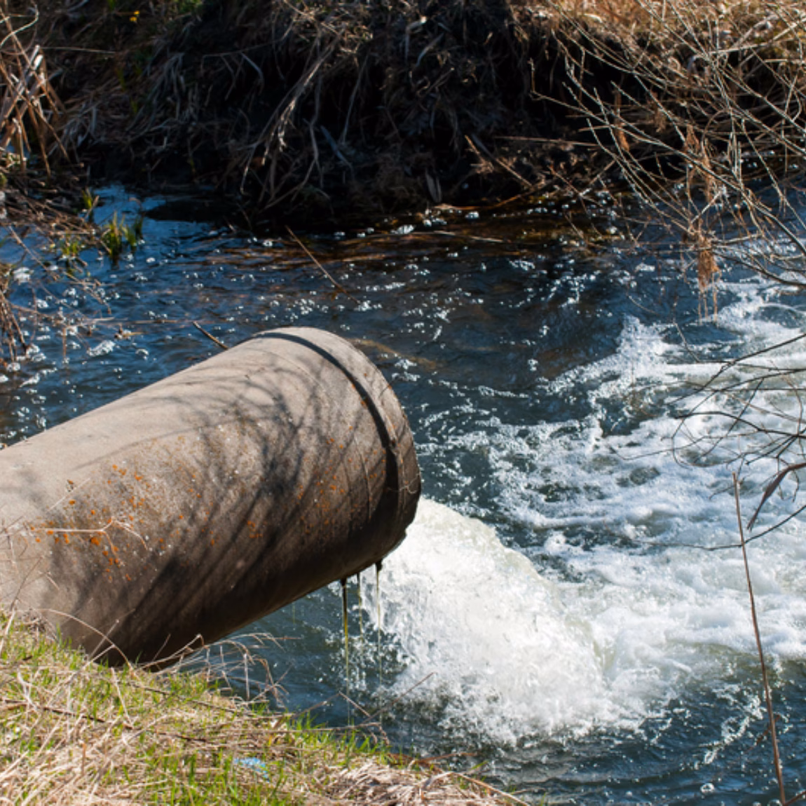 Afvoerbuis loost vervuild water in een beek of rivier langs een natuurlijke oever.
