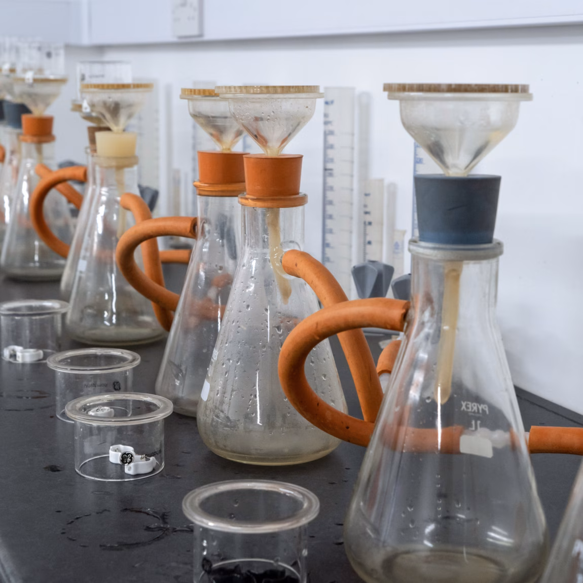 Laboratory glassware with filter systems set up for microbiological or chemical analyses.