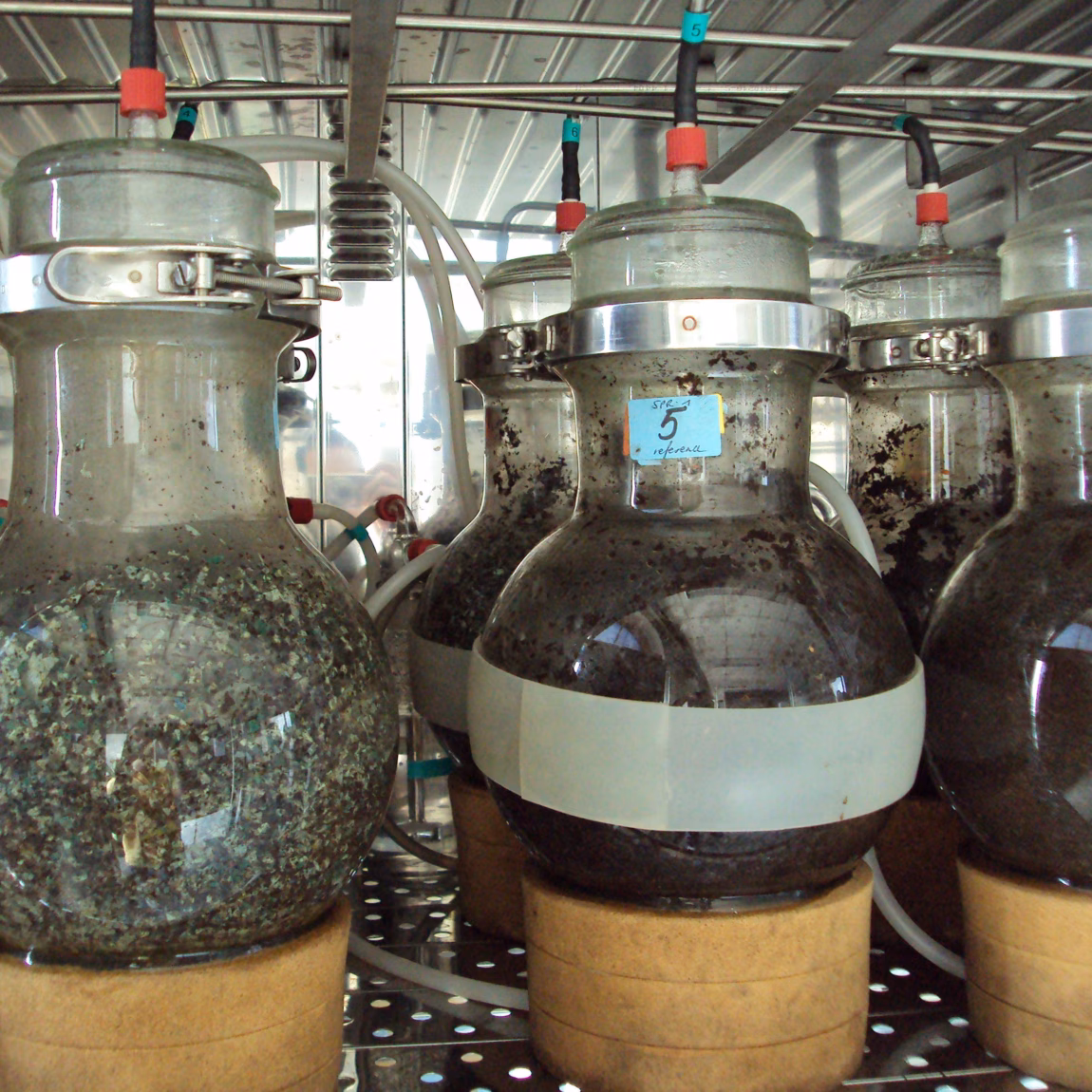 Industrial glass fermentation tanks containing a dark liquid in a production facility.