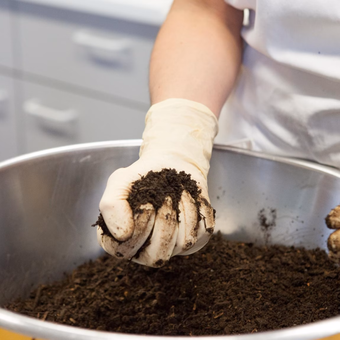 A soil sample is examined manually in a laboratory specializing in soil and environmental analysis.