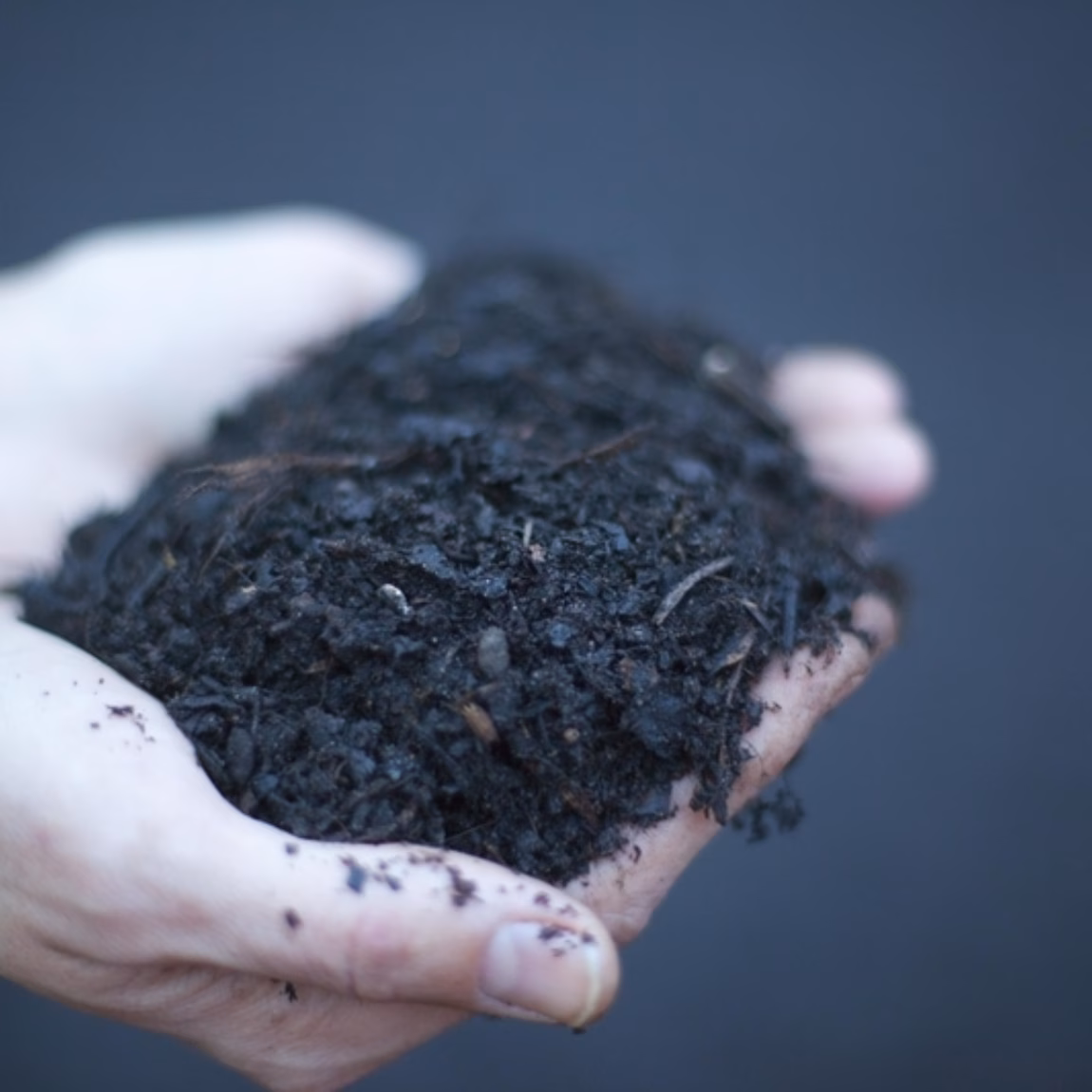 Organic soil material is being evaluated for research on soil quality and sustainability.