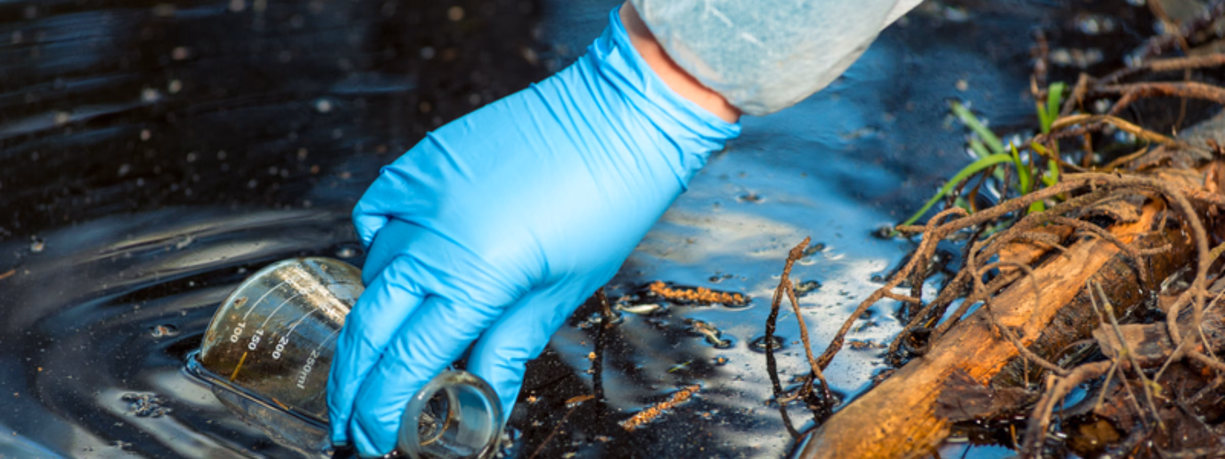 Watermonster wordt genomen in een natuurlijke wateromgeving voor milieukundig onderzoek.