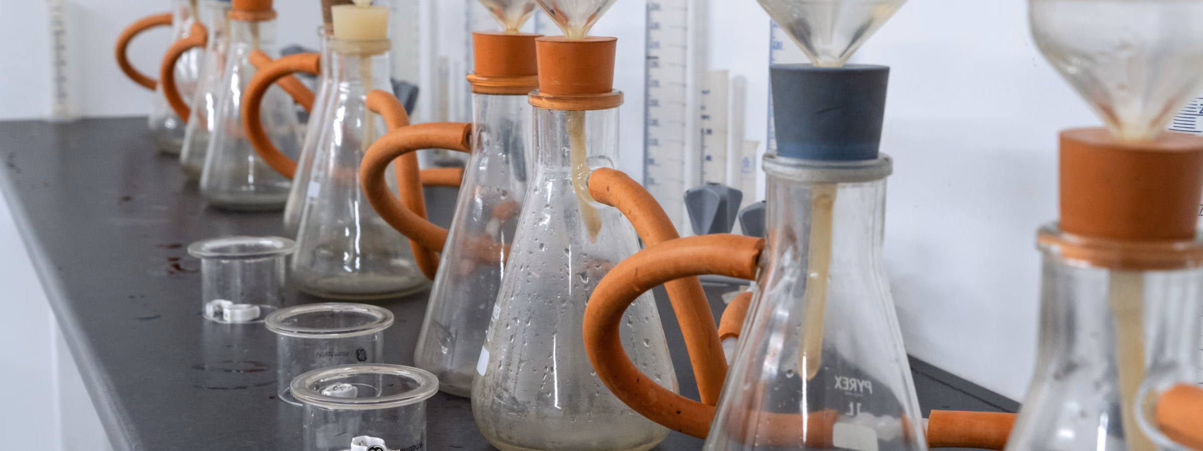 Laboratory glassware with filter systems set up for microbiological or chemical analyses.