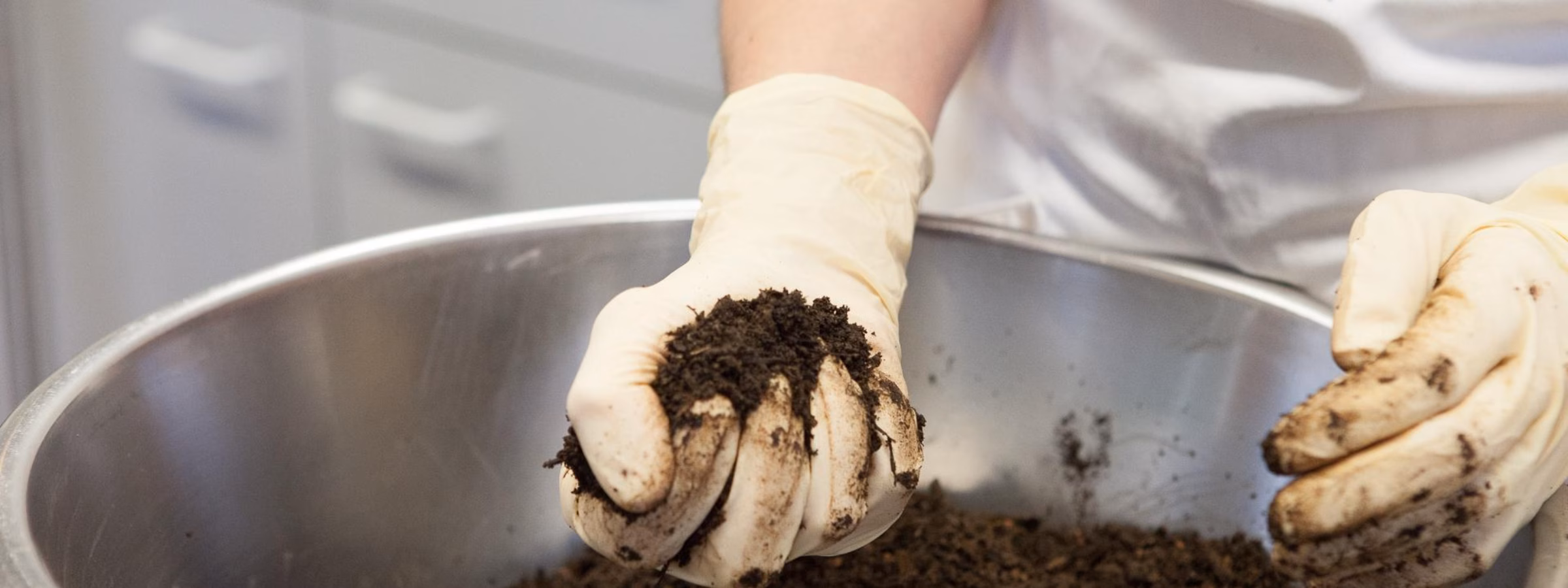 A soil sample is examined manually in a laboratory specializing in soil and environmental analysis.
