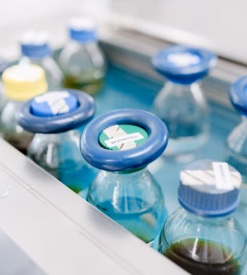 Watermonsters in glazen flessen voor laboratoriumanalyse