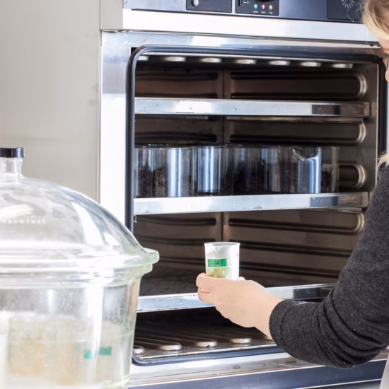 Laboratoriummedewerker plaatst een monsterpotje in een laboratoriumoven voor onderzoek en analyse.