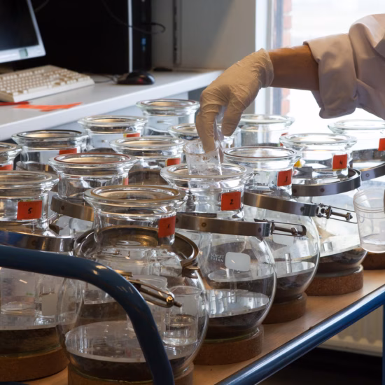 Monsters worden voorbereid en onderzocht in een laboratorium voor milieukundige analyse.