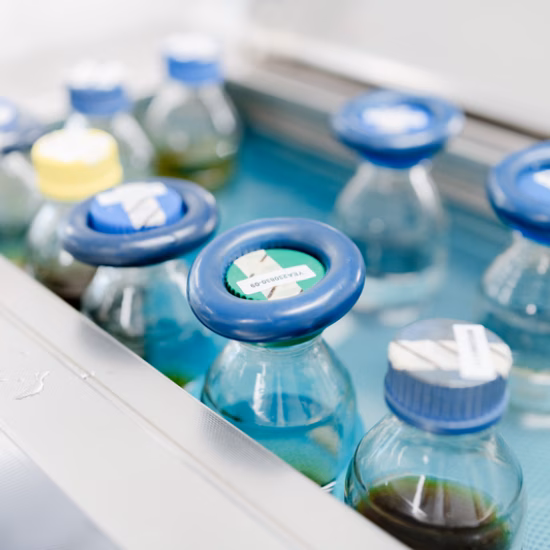 Watermonsters in glazen flessen voor laboratoriumanalyse