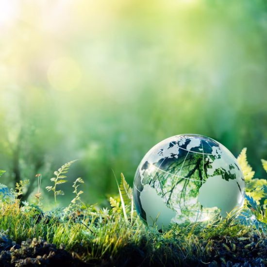 Een wereldbol tussen planten en groen verwijst naar duurzaamheid en milieubewust beheer.