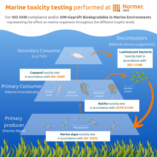Infographic toont verschillende mariene toxiciteitstesten voor beoordeling van biologische afbreekbaarheid en milieueffecten in zee.