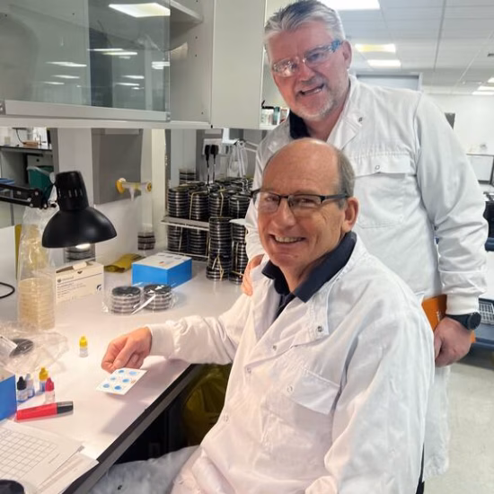 Two lab technicians are performing analyses in a laboratory setting.