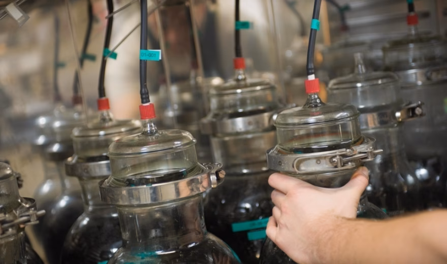 Rows of glass jars containing liquids in a laboratory setting, while a staff member picks up a jar for analysis or testing.