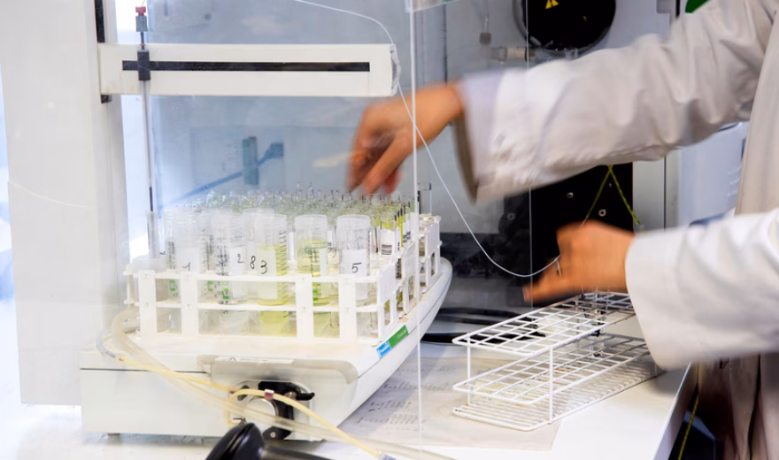 Dans un laboratoire, un employé place un support contenant des tubes à essai dans un appareil d'analyse de pointe. L'image illustre des activités liées à la recherche en laboratoire, à l'analyse d'échantillons et au contrôle qualité dans un environnement de recherche ou d'essai.