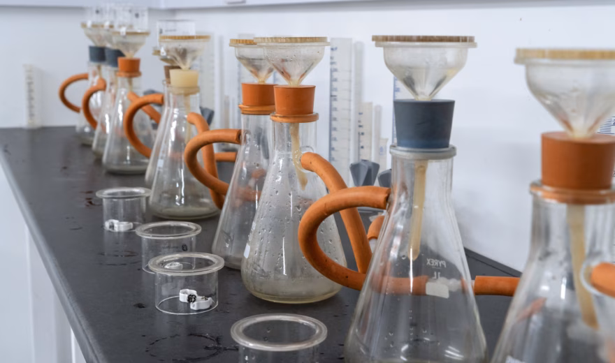 Laboratory glassware with filter systems set up for microbiological or chemical analyses.