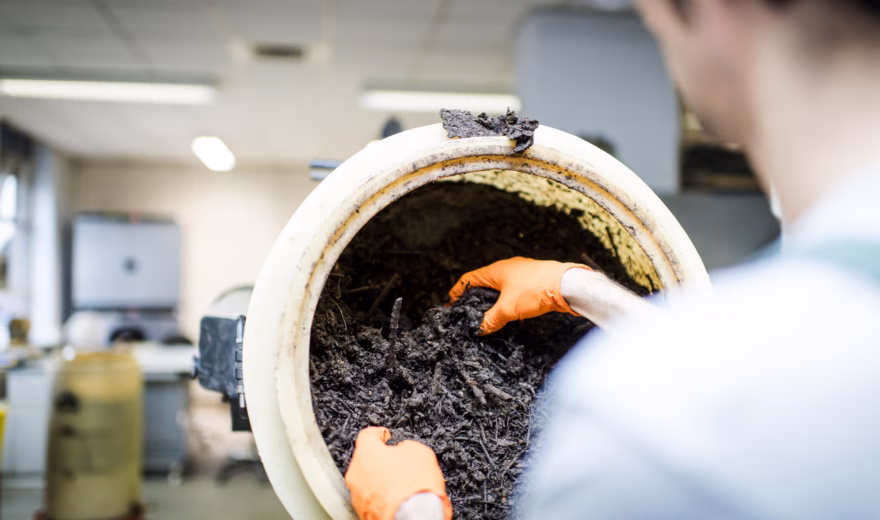 Un employé examine un récipient contenant des échantillons de compost ou de sol de couleur foncée dans un laboratoire.