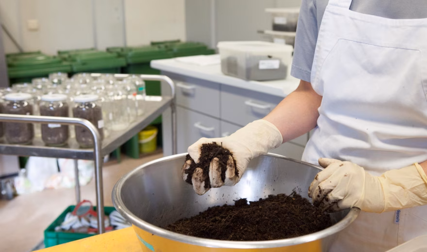 Un technicien de laboratoire mélange un échantillon organique de couleur foncée dans un bol en acier inoxydable dans le cadre d'une analyse de matériaux.