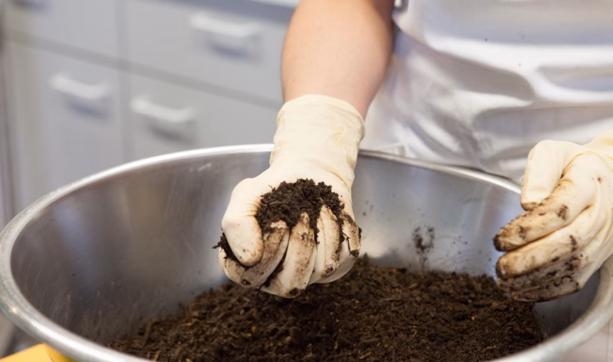 A soil sample is examined manually in a laboratory specializing in soil and environmental analysis.