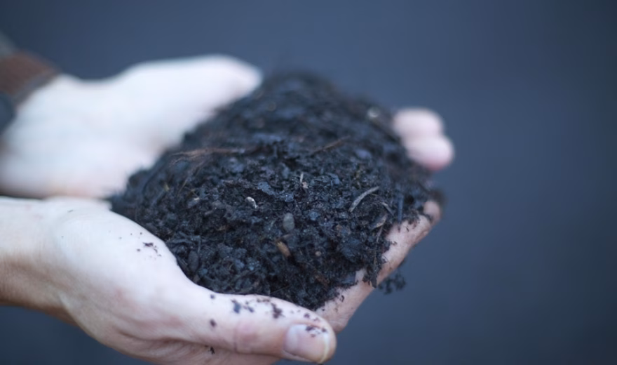Organic soil material is being evaluated for research on soil quality and sustainability.