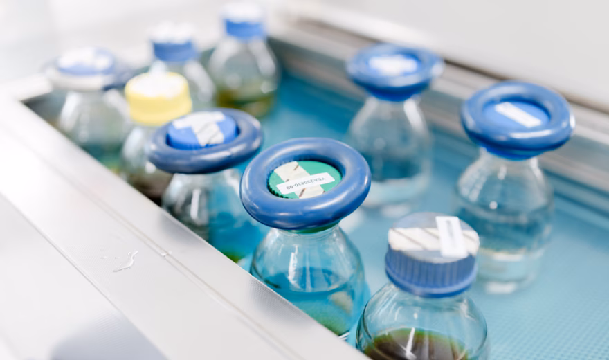Watermonsters in glazen flessen voor laboratoriumanalyse