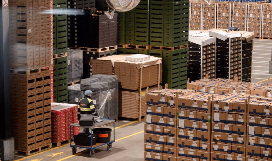 An employee at a distribution centre carries out quality checks amongst pallets of packaged fresh fruit and vegetables