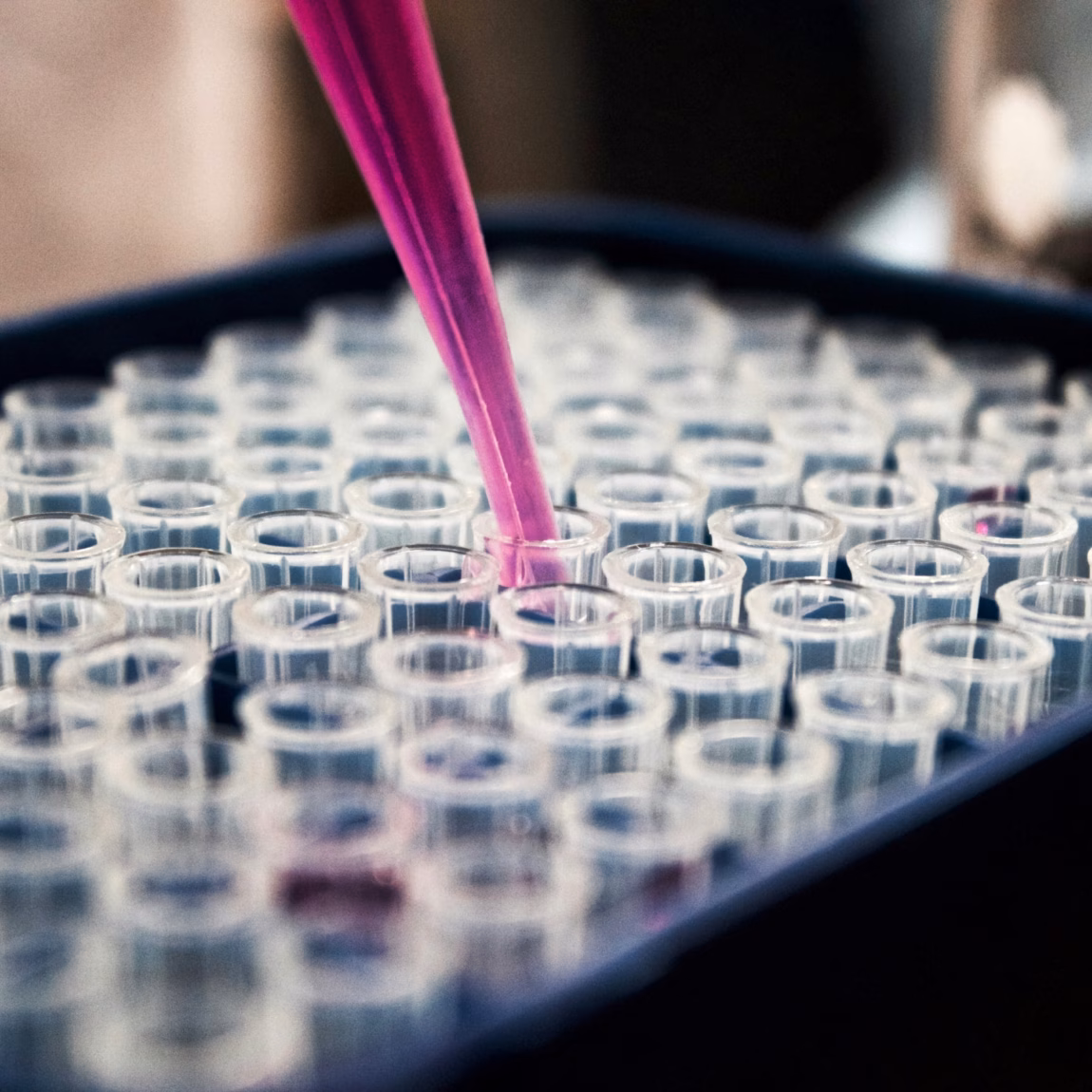 Laboratory analysis in which a liquid is precisely dispensed into a series of sample tubes.