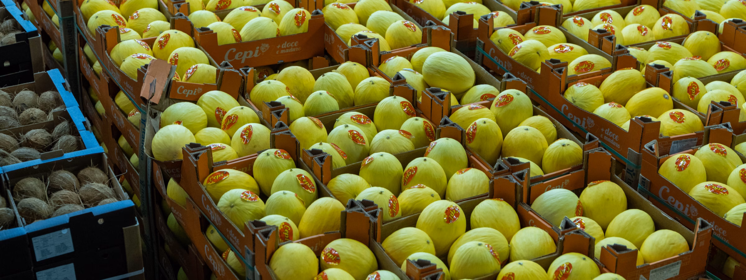 Kratten met gele appels opgeslagen in een distributiecentrum voor sortering en kwaliteitscontrole.