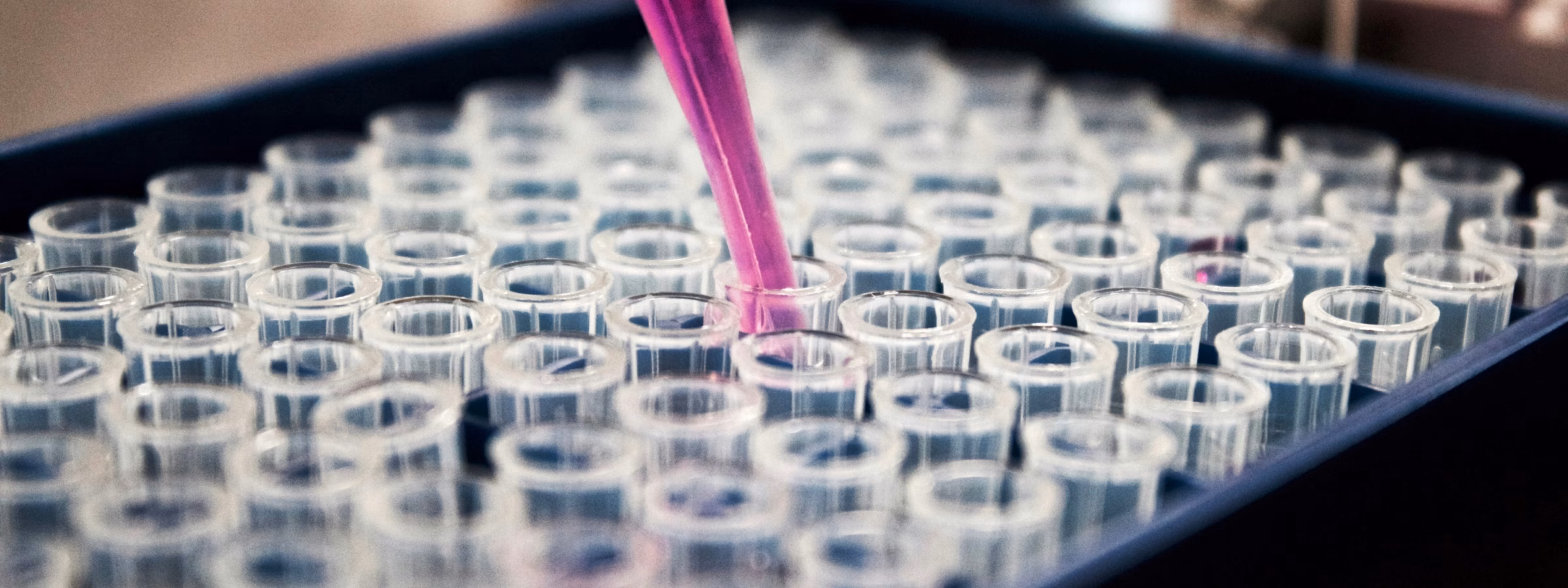 Laboratory analysis in which a liquid is precisely dispensed into a series of sample tubes.
