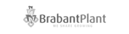 BrabantPlant-logo met beeldmerk en slogan voor groene buitenruimte.