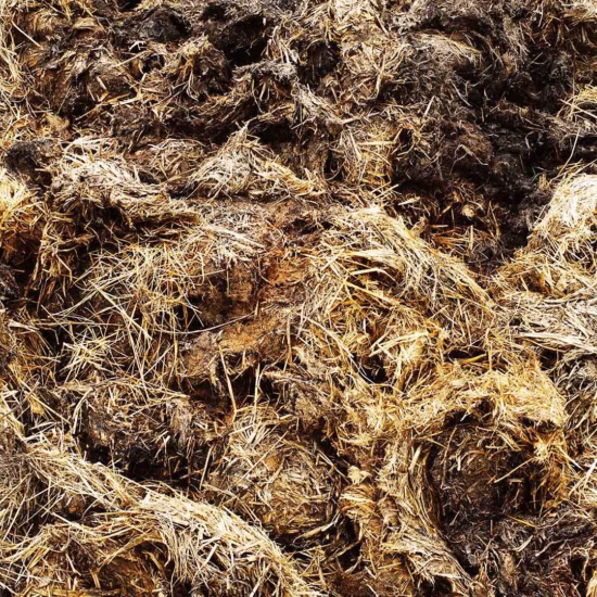 Organisches Material aus Stroh und Mist, geeignet für die Kompostierung oder Bodenverbesserung.