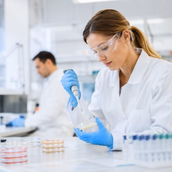 Laboranalyse einer Probe zur mikrobiologischen Untersuchung und Qualitätskontrolle.