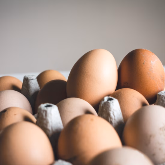 Les œufs sont conditionnés dans une boîte à œufs et peuvent faire l'objet d'un contrôle de qualité et de sécurité alimentaire.
