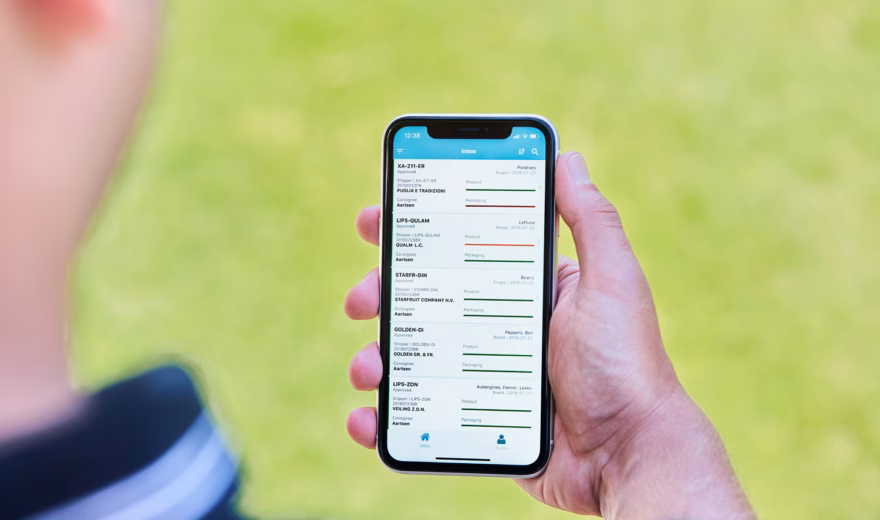 Une personne consulte les résultats ou les informations de statut sur un smartphone à l'extérieur.