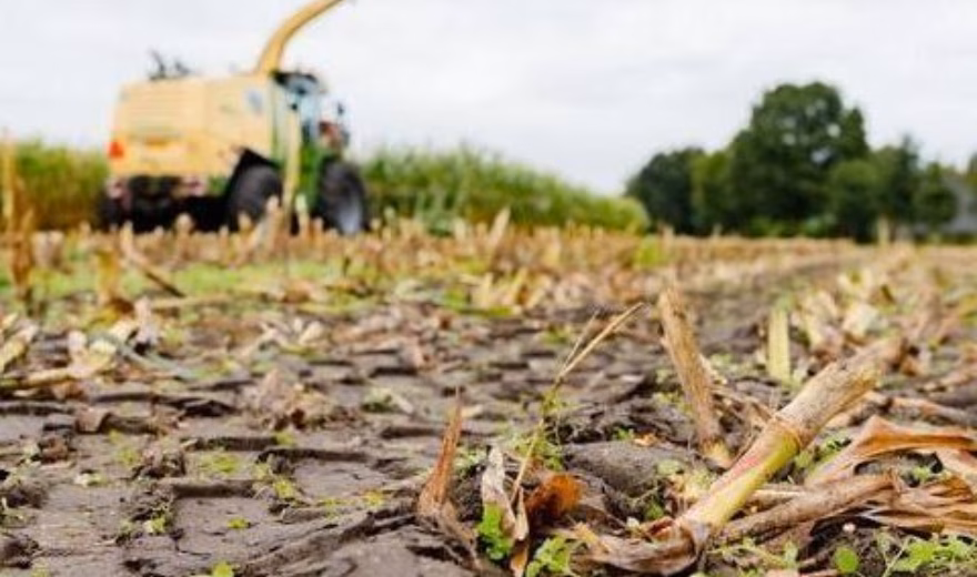 Geoogst akkerland met gewasresten en een landbouwmachine tijdens werkzaamheden op het veld.