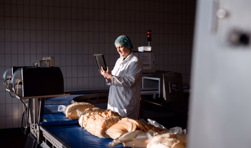 Inspecting packaged bakery products in a production environment for quality assurance.