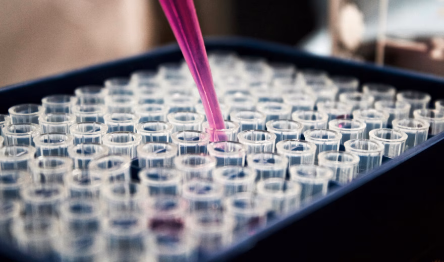 Laboratory analysis in which a liquid is precisely dispensed into a series of sample tubes.