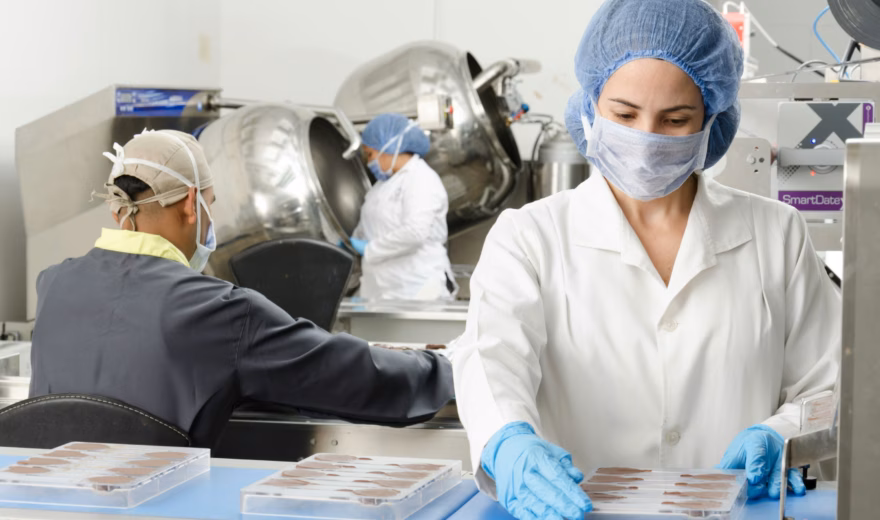 Employees perform visual inspections of food products in a production environment.