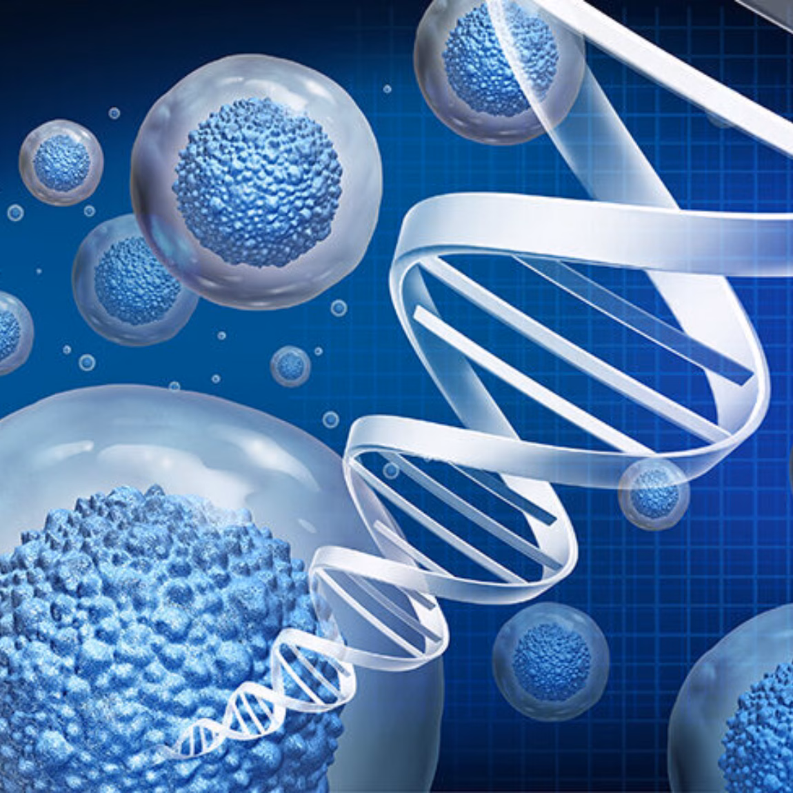 Regenerative medicine and therapeutic stem cell therapy to regrow damaged cells as treatment for disease for cellular treatment of injury or arthritis illness due to aging with 3D illustration.
