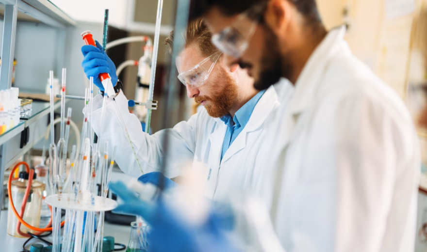 Young students of chemistry working together in laboratory