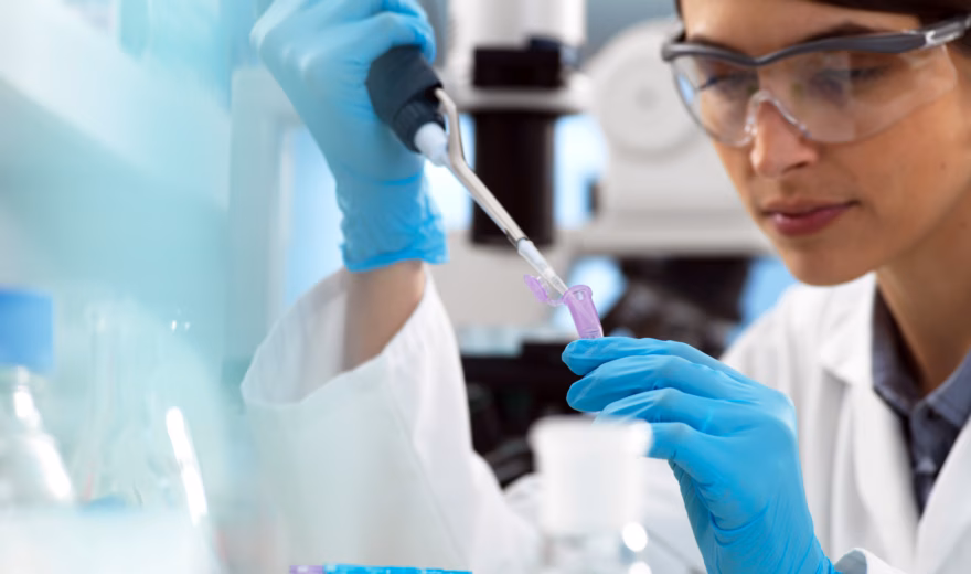 Un technicien de laboratoire utilise une micropipette pour transférer avec précision un liquide violet lors d'une analyse en laboratoire.