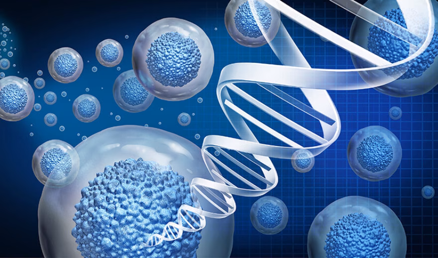 Regenerative medicine and therapeutic stem cell therapy to regrow damaged cells as treatment for disease for cellular treatment of injury or arthritis illness due to aging with 3D illustration.