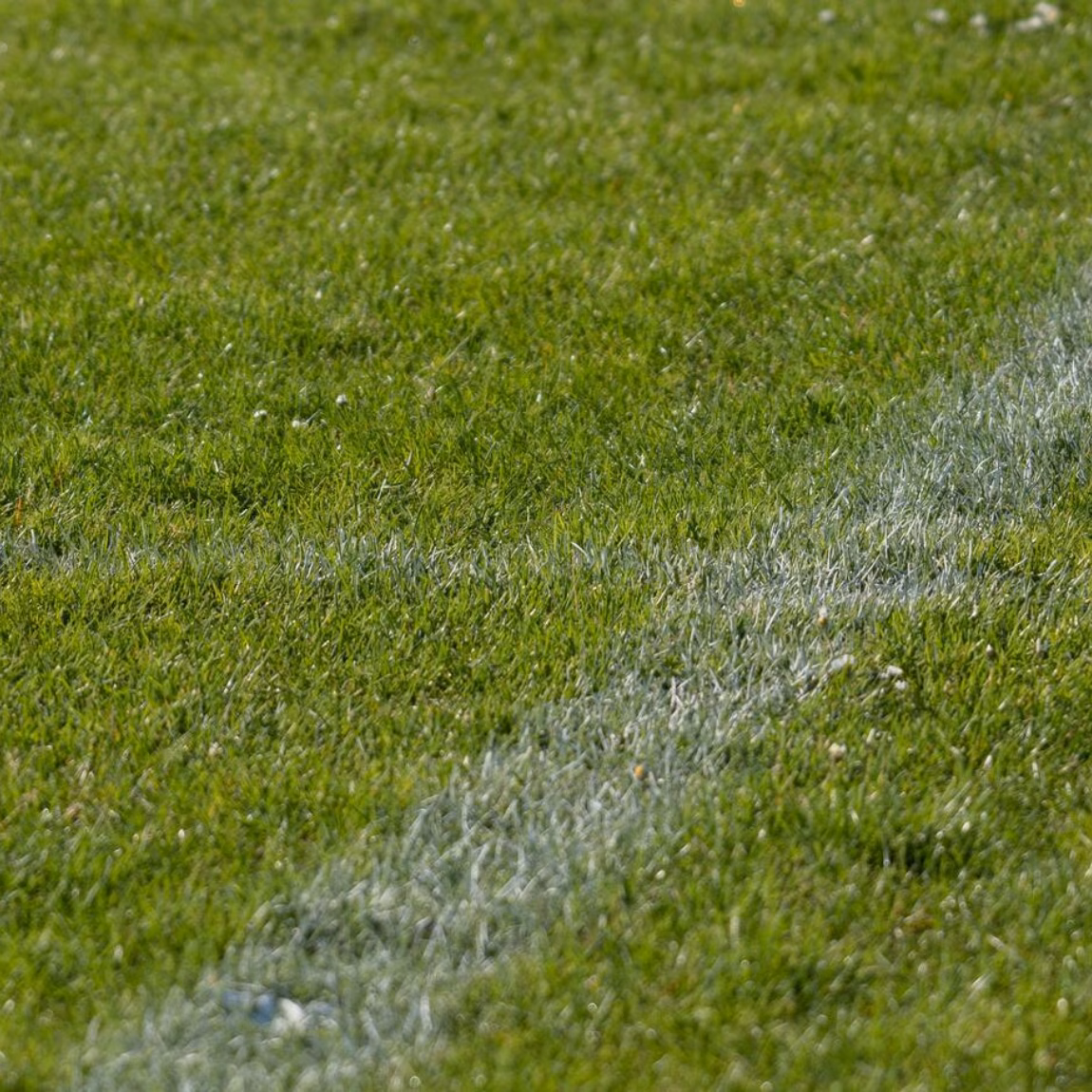 Gros plan sur une pelouse verte avec des lignes blanches clairement tracées qui délimitent un angle d'un terrain de sport. L'image met en avant la précision du marquage du terrain et l'entretien des installations sportives.