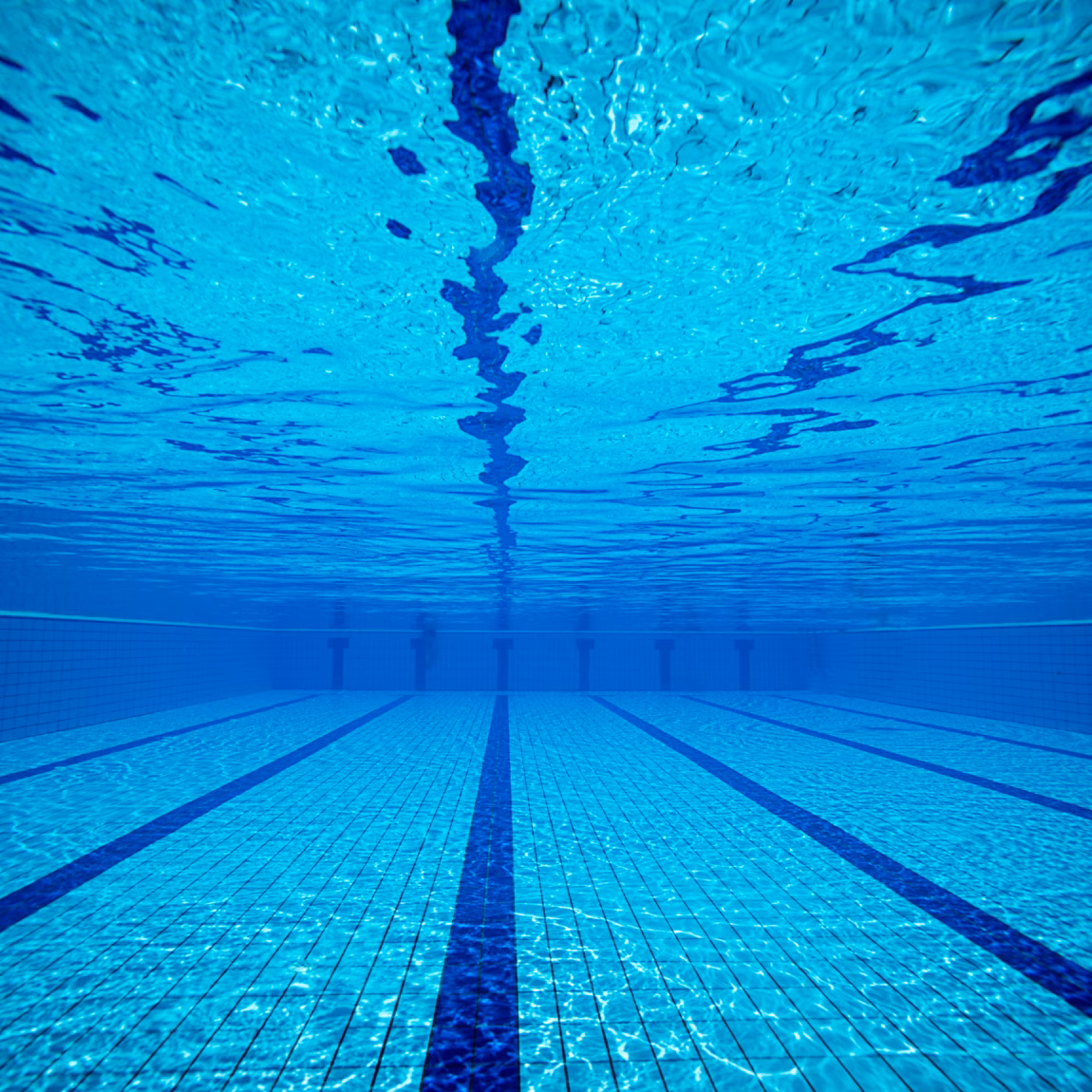 An empty swimming pool in which the lane lines on the bottom are clearly visible.