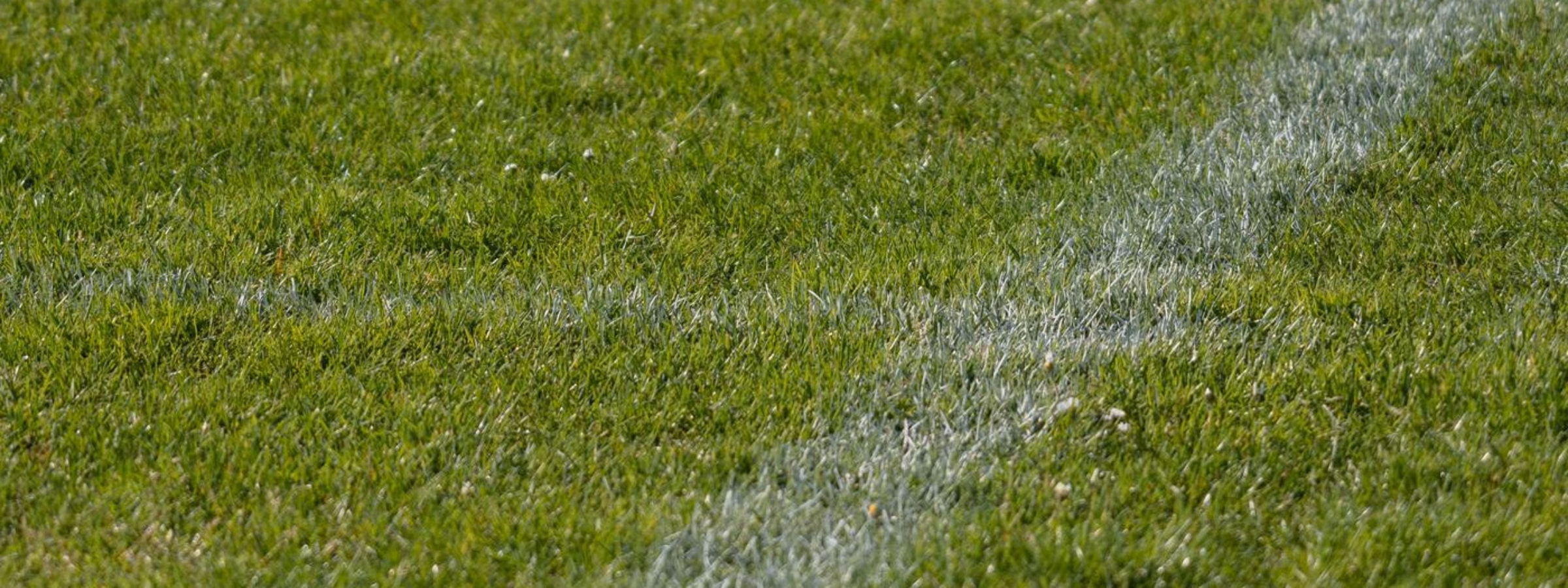 Gros plan sur une pelouse verte avec des lignes blanches clairement tracées qui délimitent un angle d'un terrain de sport. L'image met en avant la précision du marquage du terrain et l'entretien des installations sportives.