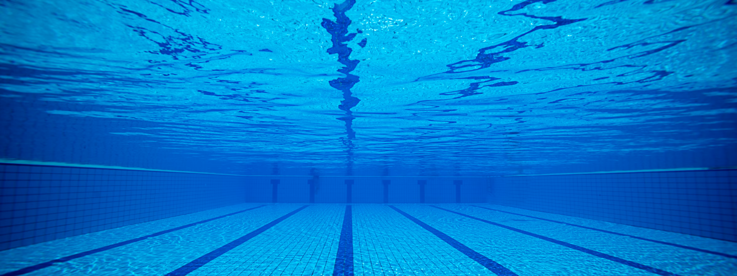 An empty swimming pool in which the lane lines on the bottom are clearly visible.